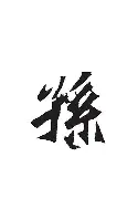 孙颖莎CBA常规赛综述结果意外(孙颖莎比赛现场)